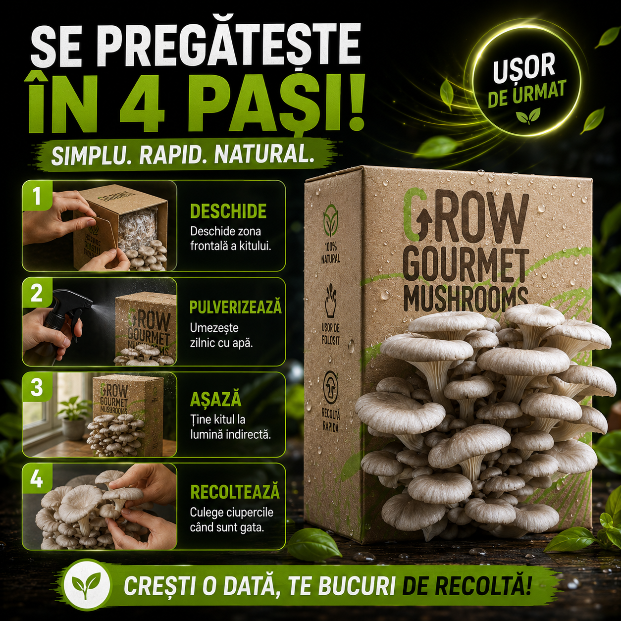 Kit de Cultivare Ciuperci Pleurotus Acasă