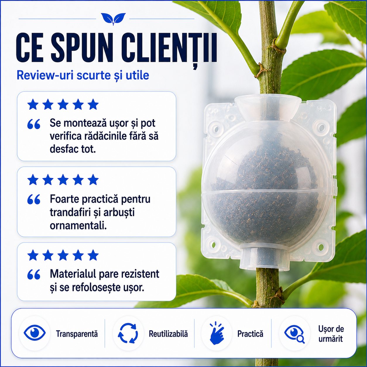 Capsulă pentru Înrădăcinarea Ramurilor