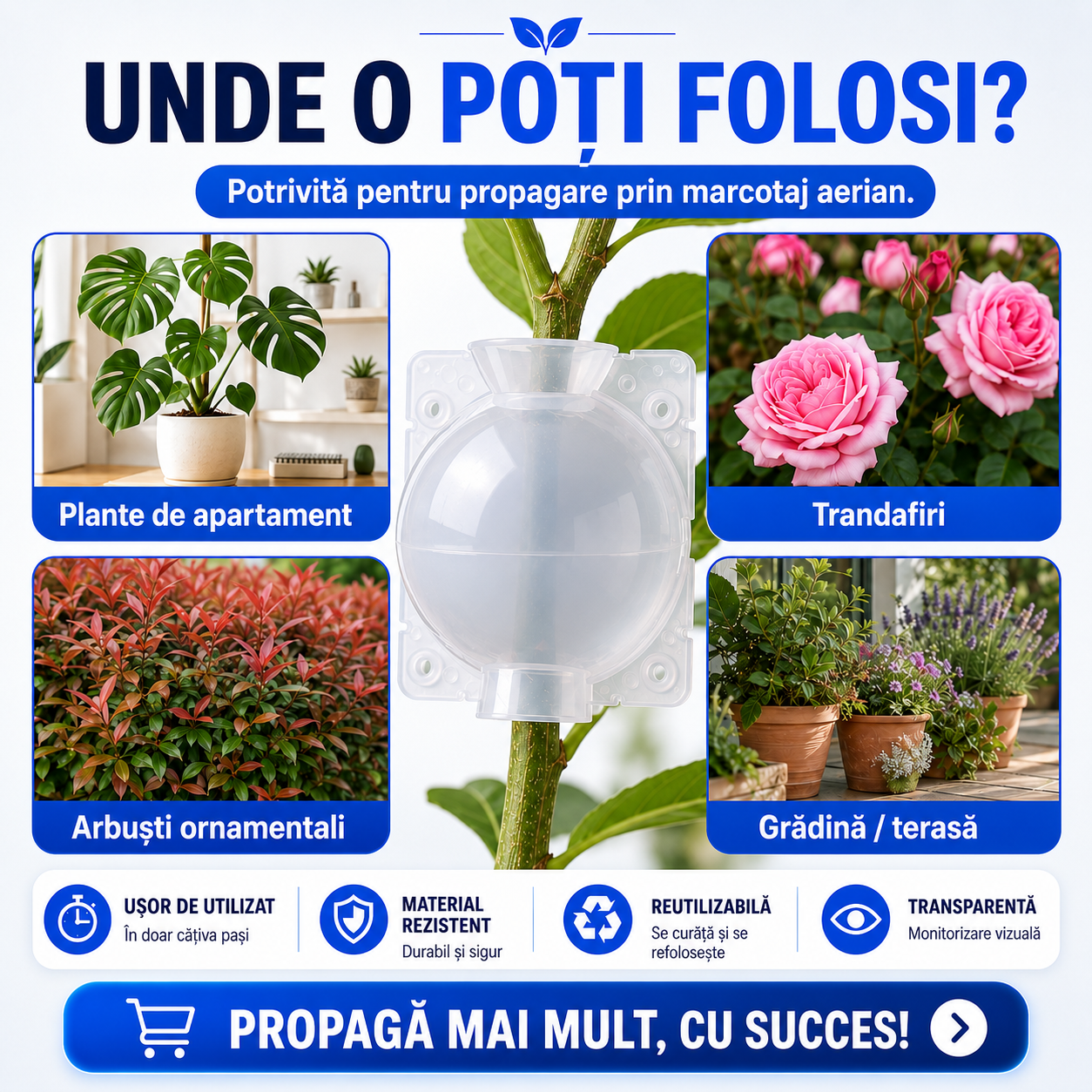 Capsulă pentru Înrădăcinarea Ramurilor