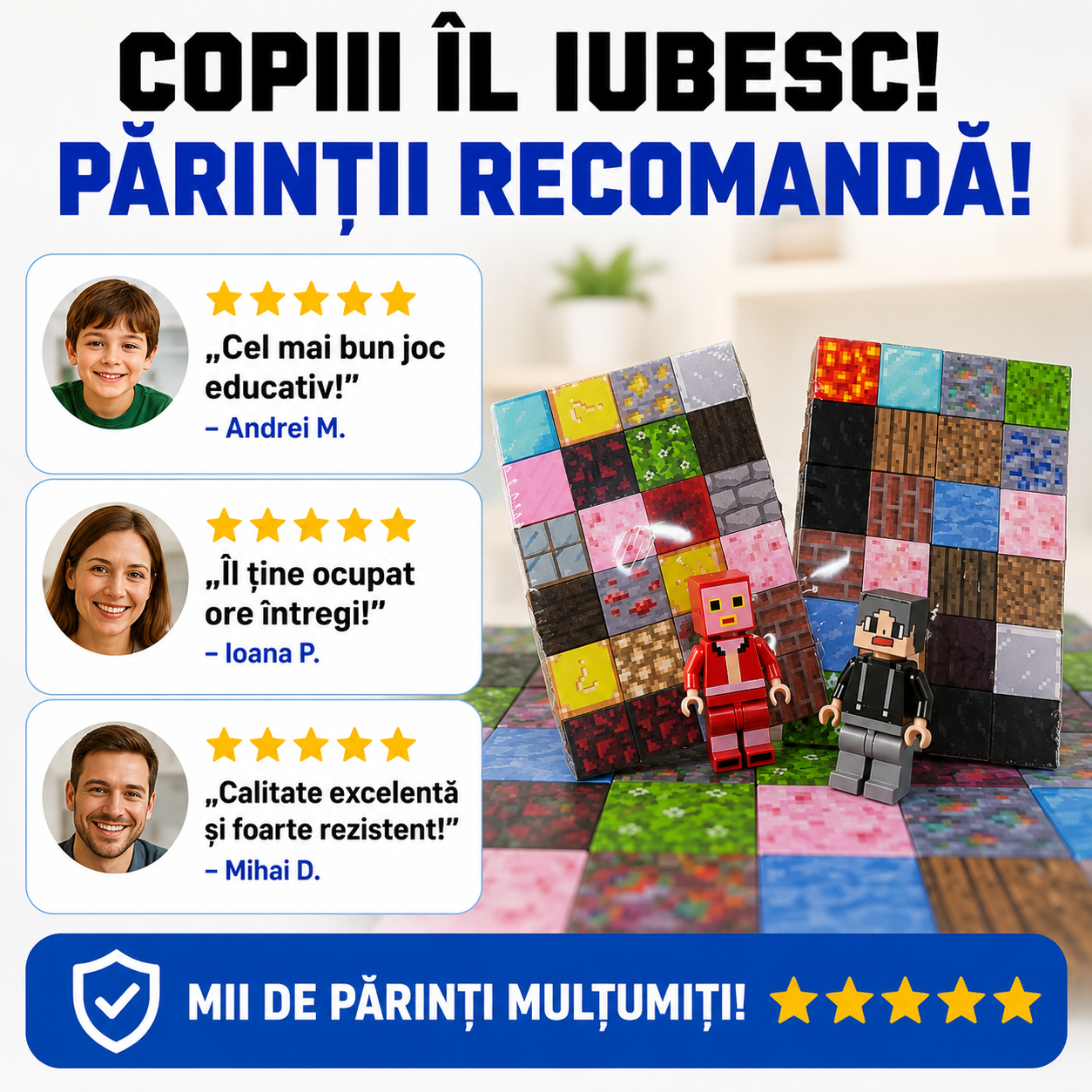 Set Construcție Minecraft Blocks